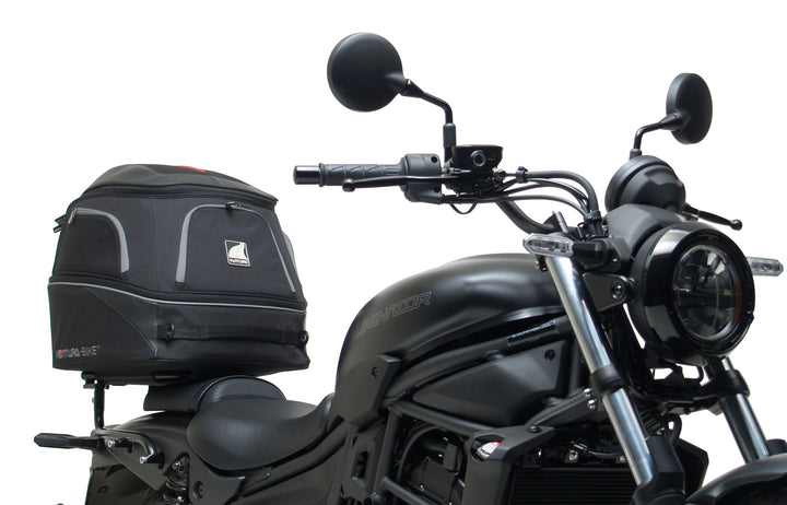 Kawasaki Eliminator 500, 500SE (24 - >)