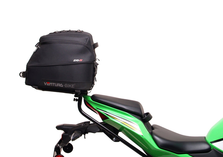 Kawasaki Ninja ZX-4RR, ZX-4R (25 - >)