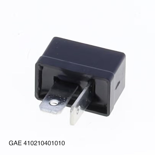 GAE 410210401010