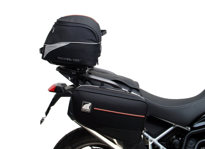 Triumph Tiger 900 GT Pro, Rally Pro (20 - >)