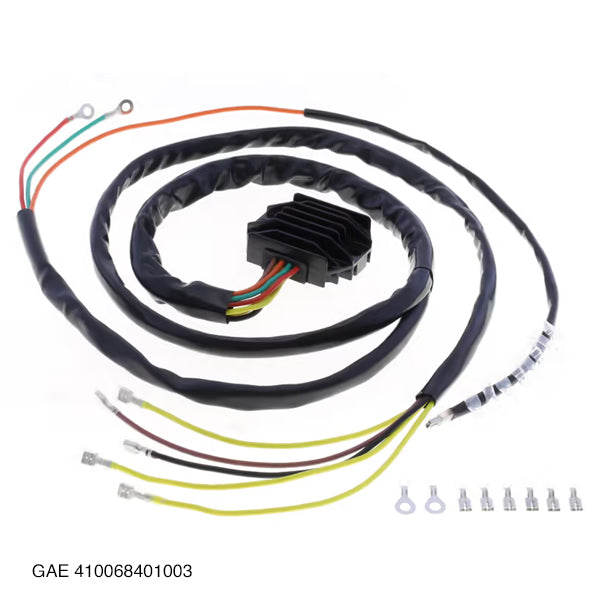 GAE 410068401002